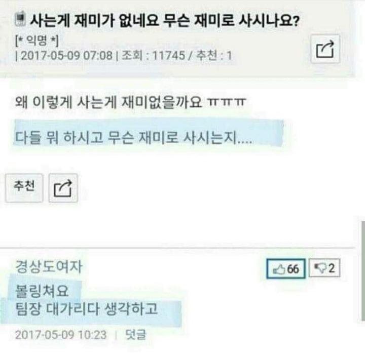 사는게 재미가 없네요 무슨 재미로 사시나요? | 인스티즈