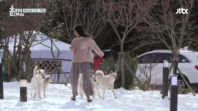 [효리네민박2] 박보검을 본 이효리 반응.jpg | 인스티즈