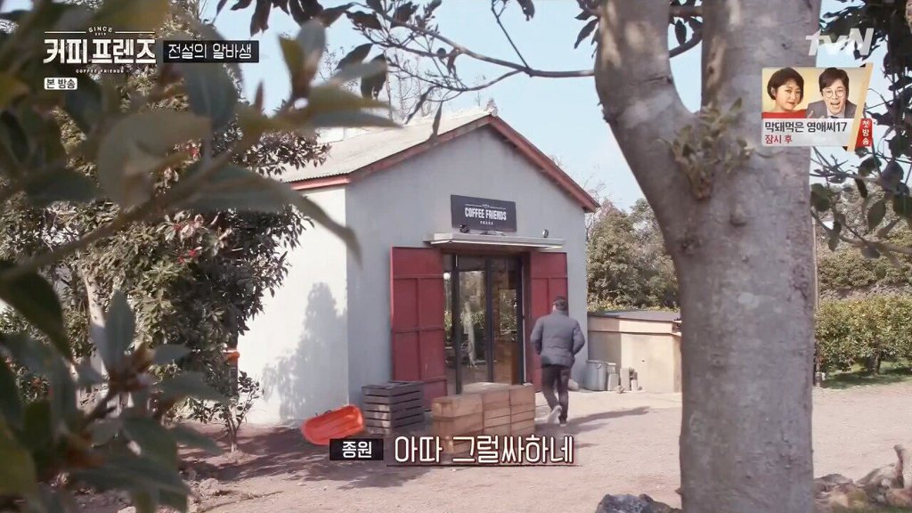 제주도에 알바하러간 백종원 | 인스티즈