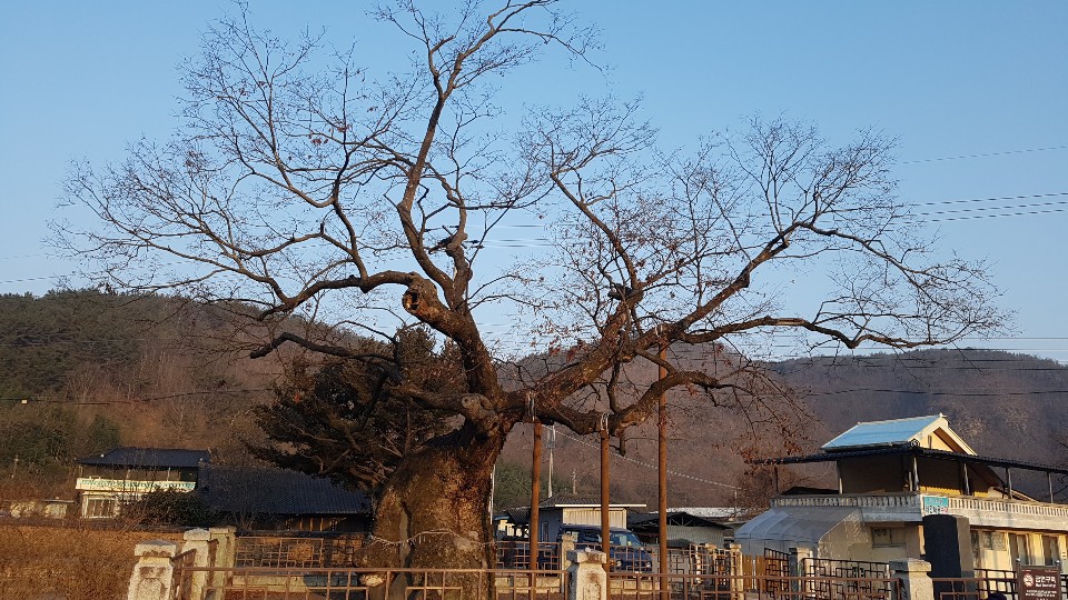 남지강변횟집 이미지