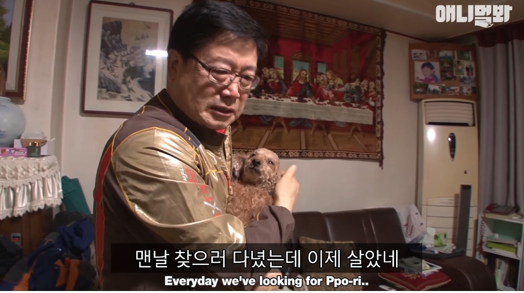 대낮에 남의 개를 납치한 여자 | 인스티즈