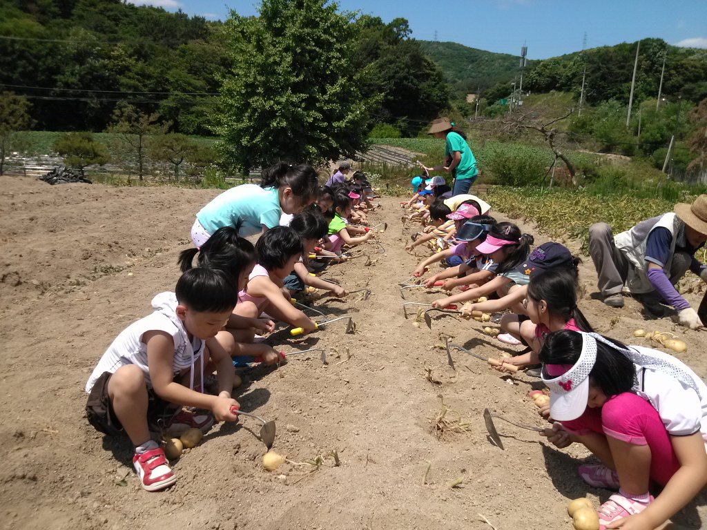 수지현대어린이집 이미지