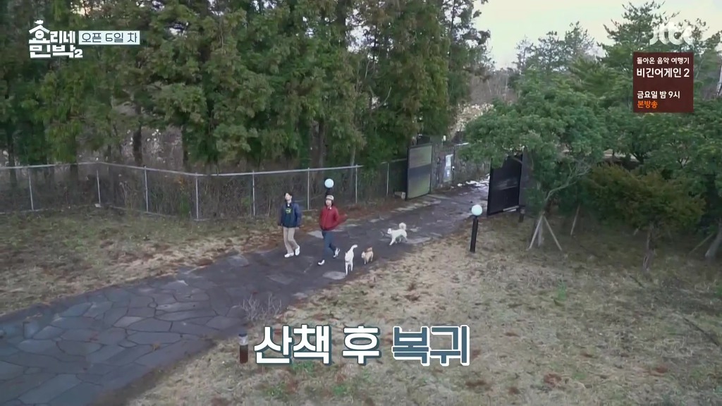 [효리네민박2] 산책 후 강아지들 발 닦아주는 이상순 - 막이슈 - 쭉빵카페 [효리네민박2] 산책 후 강아지들 발 닦아주는 이상순